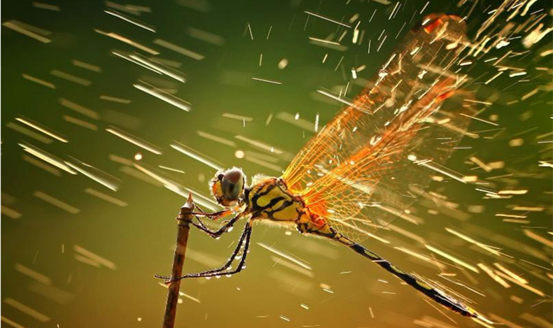 337_副本.png 337_副本.png