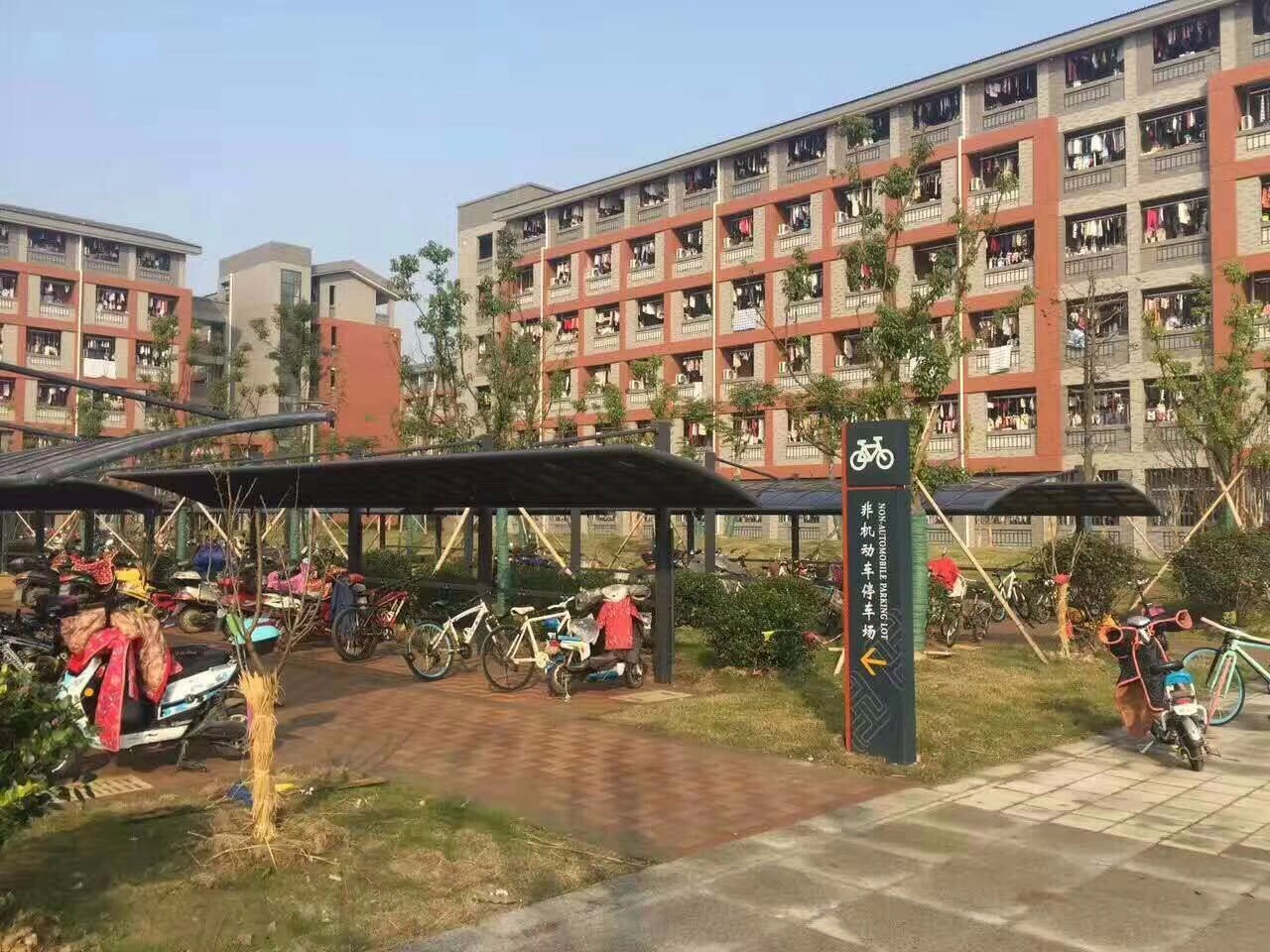 小區建停車棚，綠化用地和車棚的占地起了沖突。